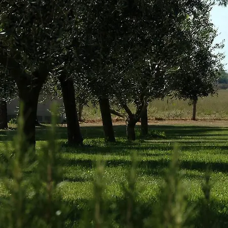 Piani Della Marina